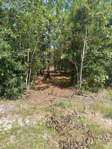 Ppf 11 Payne Pond Road, Westville, SC 29175
