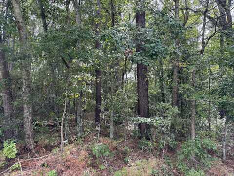 0 Wertz Street, Orangeburg, SC 29115