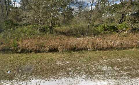 10675 Weatherby Avenue, Hastings, FL 32145