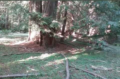 141-070-003 & 009, 141-040-025, Klamath, CA 95548