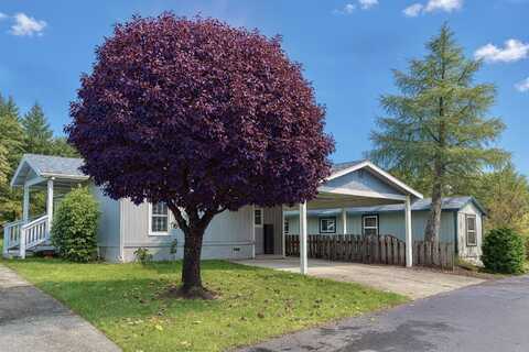 9825 Hwy 199, Gasquet, CA 95543