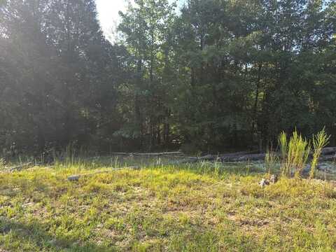 0 ARROWHEAD DR, Georgetown, GA 39854