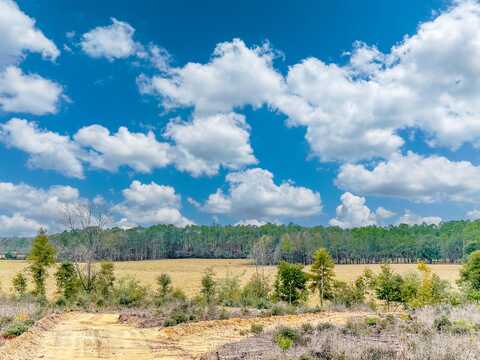 Tract#6418 Bryant Bay Road, Caryville, FL 32427