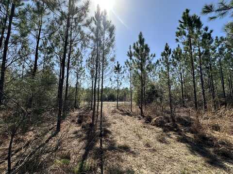Tract#6416 Douglas Ferry North Road, Caryville, FL 32427