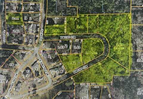 . Druid Gardens, Meridian, MS 39307