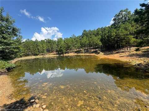 TBD Old Brewer Rd N, Other Ar, AR 72044