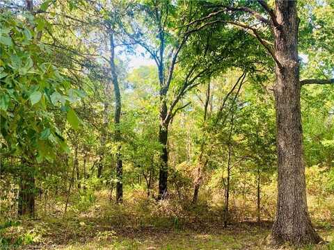 TBD Squeeze By DR, Chester, AR 72934