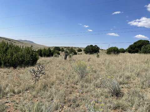 191 KIRKLAND Road, Silver City, NM 88061