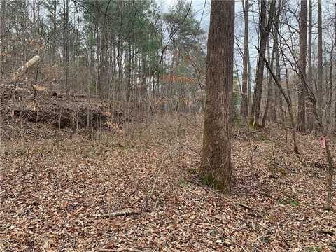 729 Marque Lane NE, Ranger, GA 30734
