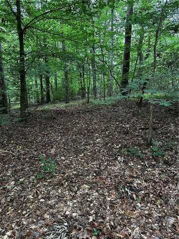 0 Ayers Rd, Bowdon, GA 30108