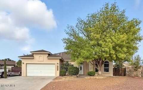 768 DESERT STAR Drive, Horizon City, TX 79928