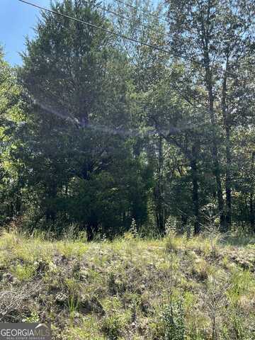 0 Richardson Mill, Fort Valley, GA 31030