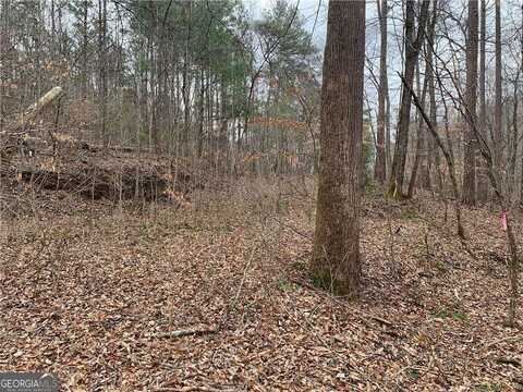 729 Marque, Ranger, GA 30734