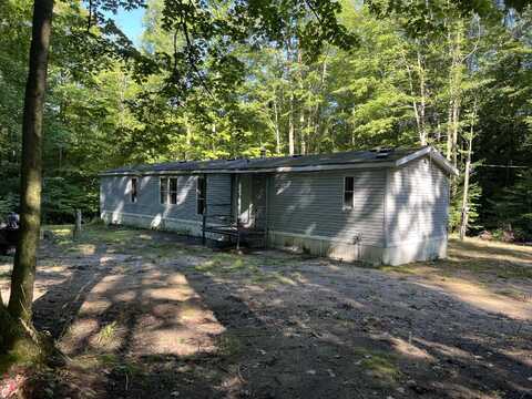 4464 Leckrone Road, Brethren, MI 49619