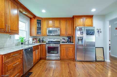 14 Ash Ln, Randolph, NJ 07869