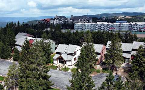 10 Treetop, Snowshoe, WV 26209