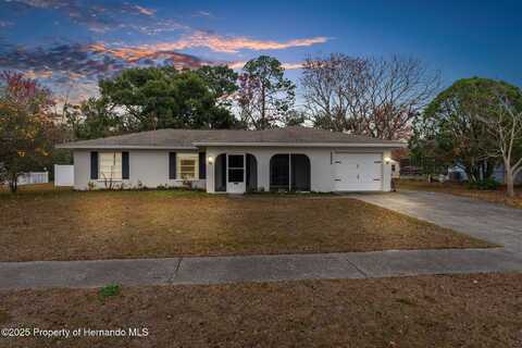 4666 Kirkland Avenue, Spring Hill, FL 34606
