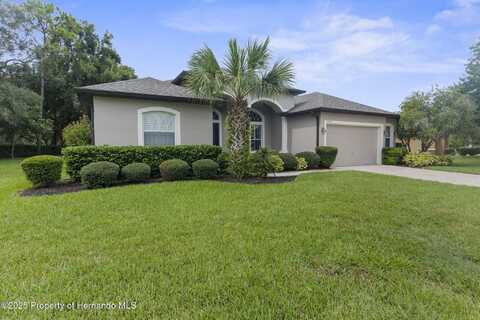 13698 Weatherstone Drive, Spring Hill, FL 34609