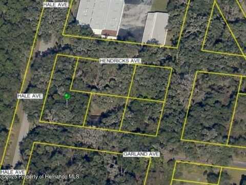 Hale Avenue, Brooksville, FL 34601