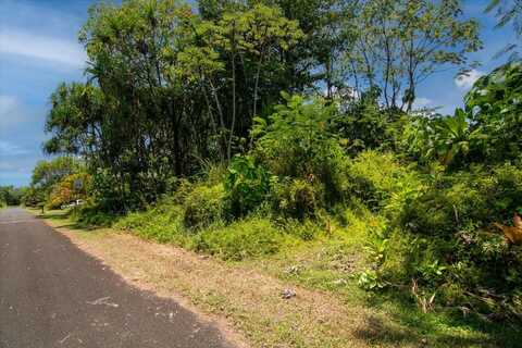 S OPAKAPAKA ST, Pahoa, HI 96778