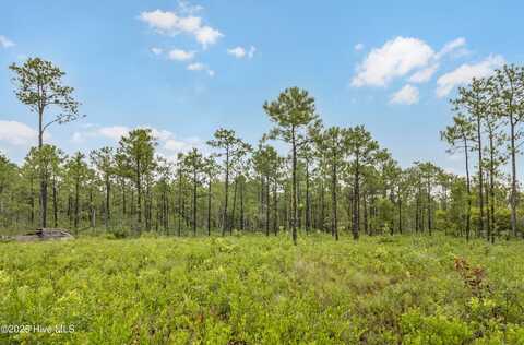 17 Hwy Off, Hampstead, NC 28443