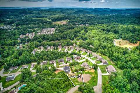 806 Odessa Lane, Knoxville, TN 37920