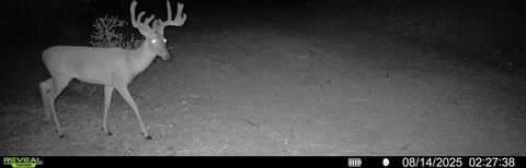 J S Murry Ranch Rd, Del Rio, TX 78840