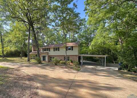 3517 Danville Drive, Kilgore, TX 75662