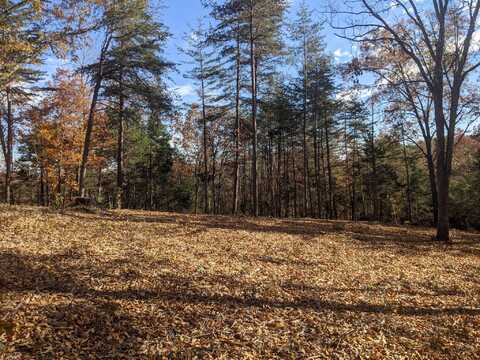 12 The Village Of Dale Hollow, Burkesville, KY 42717