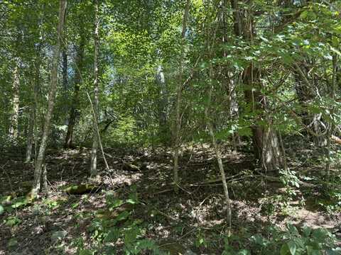 1590 Crooked Creek Road, Lawrenceburg, KY 40342