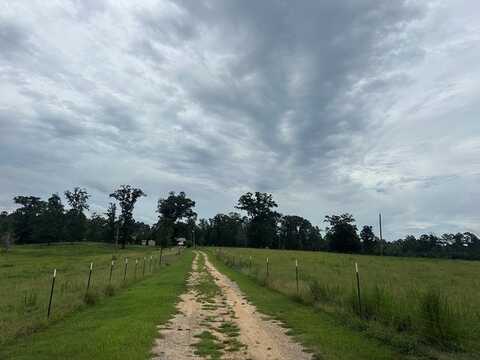 0 Hwy 42, Richton, MS 39476