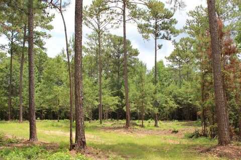 0 HAYES MILL CONNECTOR, NOTASULGA, AL 36866
