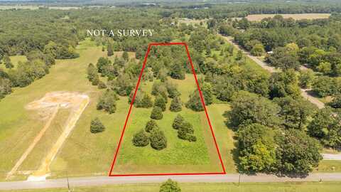LOT 1 CARROLL, Michie, TN 38357