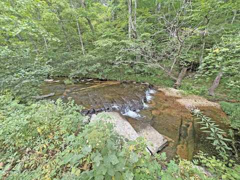 DOUBLE BRANCH, Collinwood, TN 38450