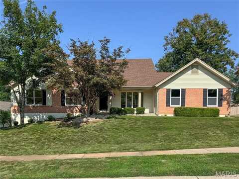 16203 Forest Meadows Drive, Chesterfield, MO 63005