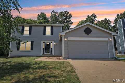 3 Congressional Way Court, O'fallon, MO 63368
