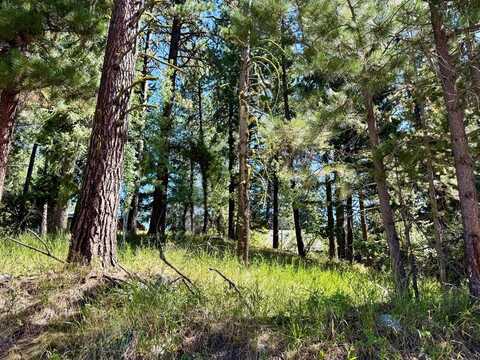 699 N Samson Trail, McCall, ID 83638