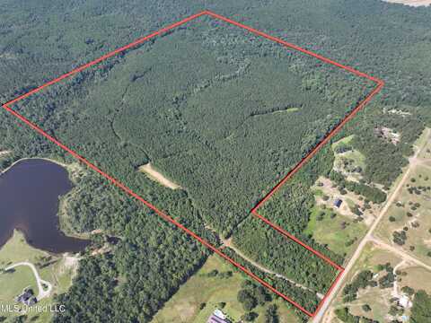 0 Buddy Finch Road, Lucedale, MS 39452
