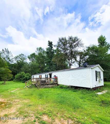 62 Deer Lane, Picayune, MS 39466