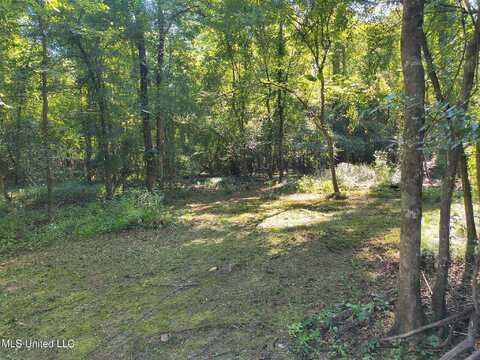 0 Carter Lake Drive, Lucedale, MS 39452