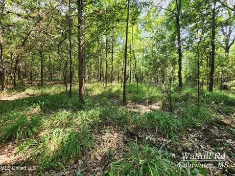 Walhill Road, Coldwater, MS 38618