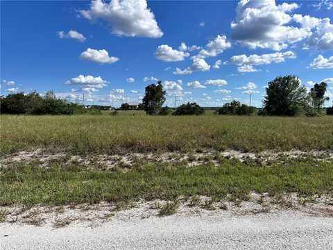 1669 W FONDULAC RD, AVON PARK, FL 33825