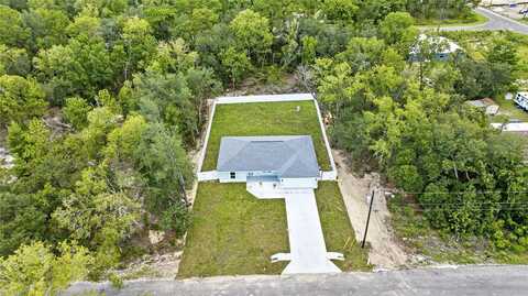 7 GUAVA PLACE PASS, OCKLAWAHA, FL 32179