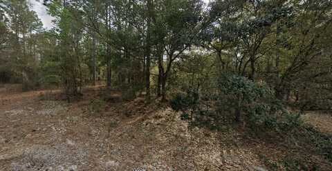 228 14TH STREET, INTERLACHEN, FL 32148