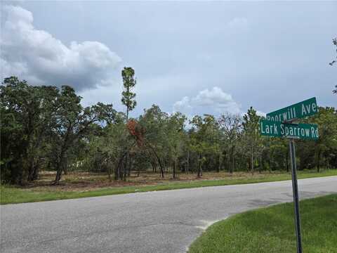 12098 LARK SPARROW ROAD, BROOKSVILLE, FL 34614