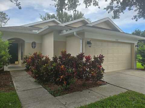 21332 MORNING MIST WAY, LAND O LAKES, FL 34637