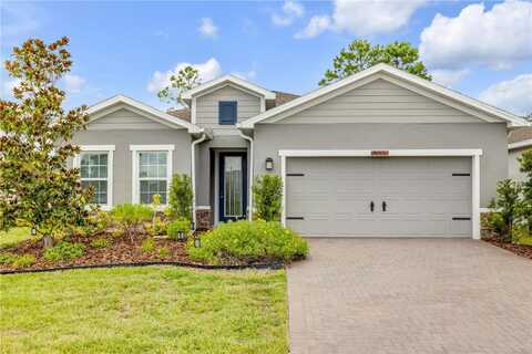 1002 CHELAN FALLS DRIVE, DELAND, FL 32724