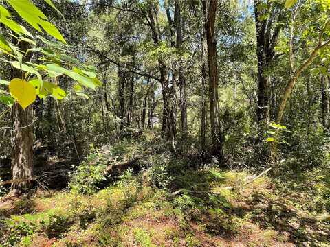 Lot 30 SW 31ST PLACE, OCALA, FL 34481
