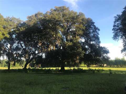 W VISTA COVE, CHULUOTA, FL 32766