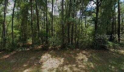917 E ABEND DRIVE, DUNNELLON, FL 34434